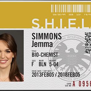 Foto Agentes de S.H.I.E.L.D.