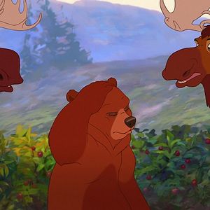 Foto Tierra de osos 2