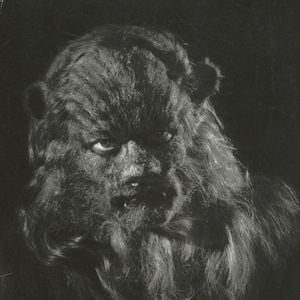 Foto La bella y la bestia