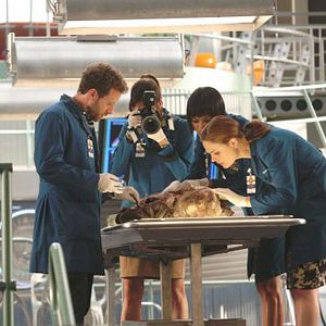 Foto Emily Deschanel