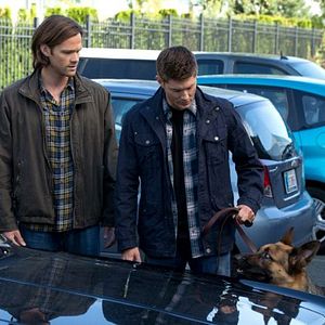 Foto Jared Padalecki