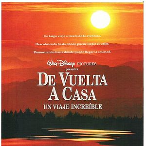 Foto De vuelta a casa. Un viaje increíble