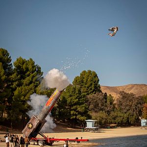 Foto Jackass por siempre