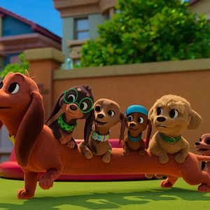 Foto Pretzel y sus cachorros