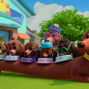 Foto Pretzel y sus cachorros