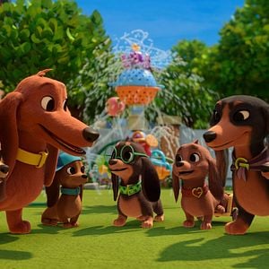 Foto Pretzel y sus cachorros