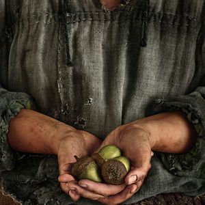 Foto El Señor de los Anillos: Los Anillos de Poder