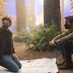 Foto El proyecto Adam