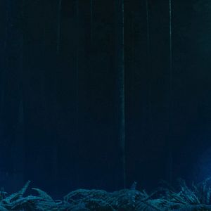 Foto El proyecto Adam