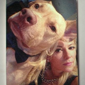 Foto Bad Vegan: Fama, fraudes y fugas