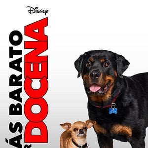 Foto Más barato por docena