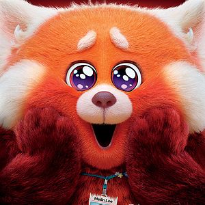 Foto Abrazando al panda: Detrás de Red