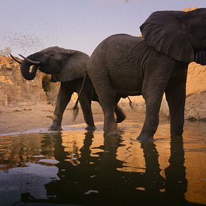 Foto Nuestros grandiosos parques nacionales