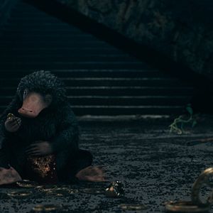 Foto Animales Fantásticos: Los secretos de Dumbledore