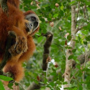 Foto Nuestros grandiosos parques nacionales