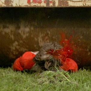 Foto Ocho días de terror