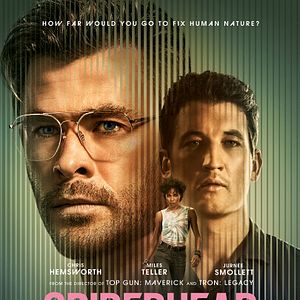 Foto La cabeza de la araña