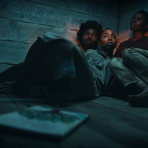 Foto Árboles de paz