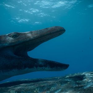 Foto Planeta prehistórico