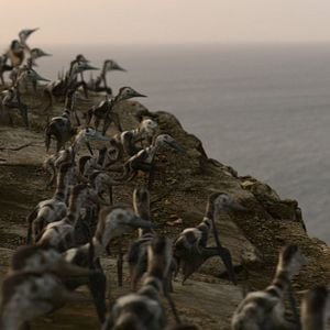 Foto Planeta prehistórico