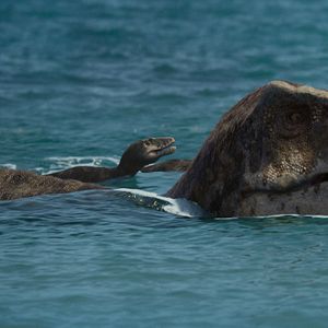 Foto Planeta prehistórico
