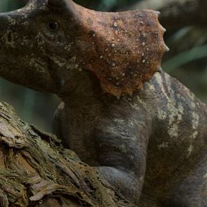 Foto Planeta prehistórico