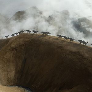 Foto Planeta prehistórico