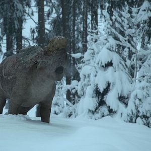 Foto Planeta prehistórico
