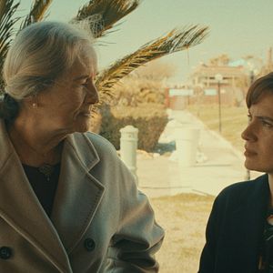 Foto Il paradiso del pavone