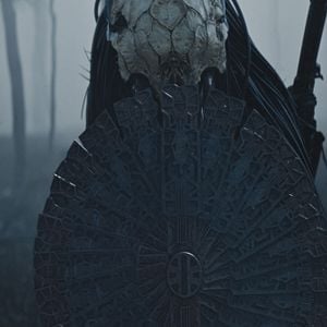 Foto Depredador: La presa