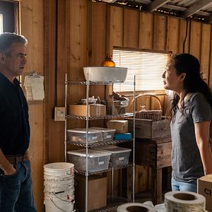 Foto Dermot Mulroney