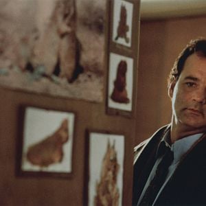 Foto Bill Murray
