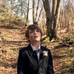 Foto Ollie está perdido