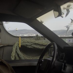 Foto Anadolu Leoparı