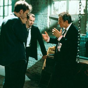 Foto Perros de reserva