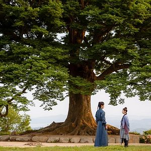 Foto Alquimia de almas