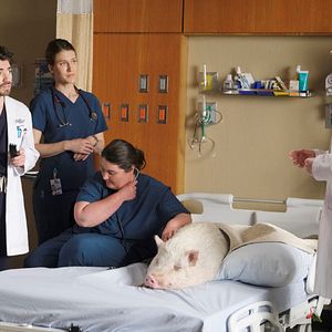 Foto Freddie Highmore