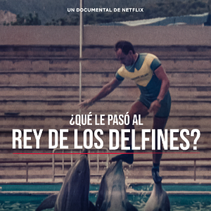 Foto ¿Qué le paso al rey de los delfines?