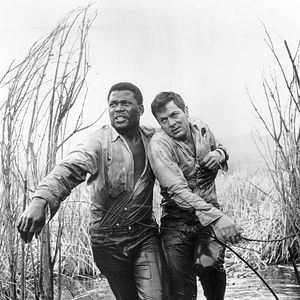 Foto Sidney Poitier