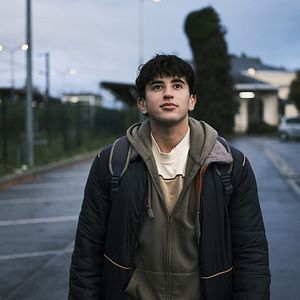 Foto Azúcar y estrellas