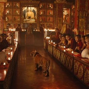 Foto El niño y el tigre