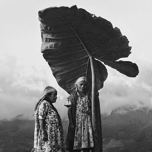 Foto Dioses de México