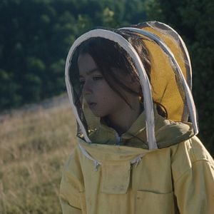 Foto 20.000 especies de abejas