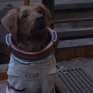 Foto Guardianes de la galaxia Vol. 3