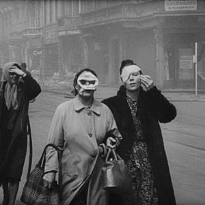 Foto The Natural History of Destruction