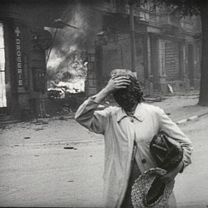 Foto The Natural History of Destruction