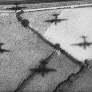 Foto The Natural History of Destruction