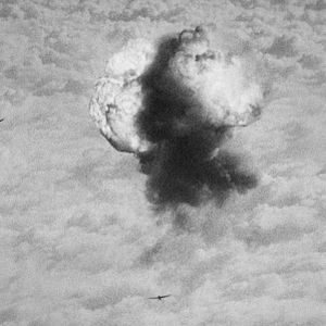 Foto The Natural History of Destruction