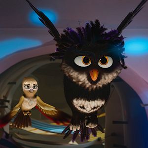 Foto Una Cigüeña En Apuros: La Joya Perdida