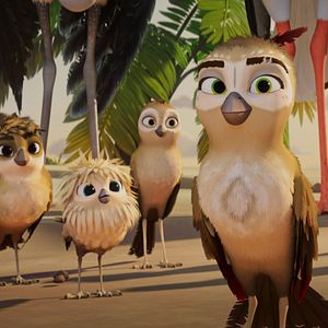 Foto Una Cigüeña En Apuros: La Joya Perdida